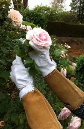 Long Goat Suede Pruning Gauntlet Gloves