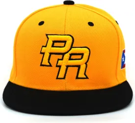 Puerto Rico Snapback Hat US Embroidery Flag 3D PR Flat Bill PR Baseball Cap